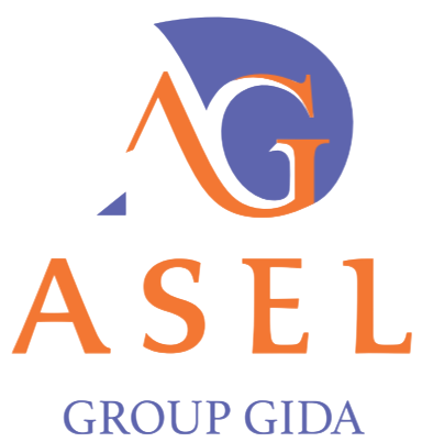 Asel Group Gıda logosu